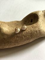 Pair of opal stud earrings on wood display