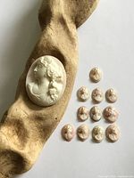 Group view of large cameo on driftwood and ten small cameos on white background