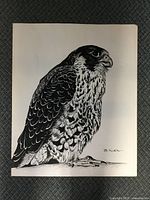 Full view of entire drawing showing bird and signature