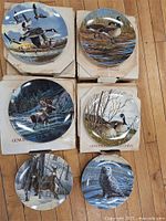 Six plates with wildlife scenes and boxes displayed on floor