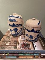 Front view of both blue and white tea caddies on books