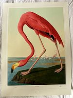 Full view of Flamingo print showing image and margins