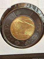 reverse side polar bear design showing dark charcoal outer ring