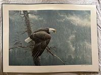 Full view of the unframed Robert Bateman print showing eagle and forest scene