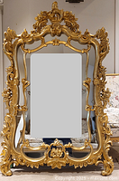 Full view of mirror showing ornate gilt composite frame and mirror surface