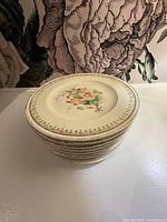 Stack of ten plates showing rims and floral centers