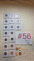 17 Buffalo nickel flips, #56 card, 4 loose Liberty Head nickels