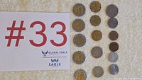 All fourteen coins laid out in two columns beside lot card