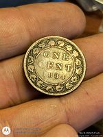 Reverse of 1884 Canadian large cent, maple-leaf wreath, clear date