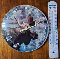 Both thermometers side by side showing overall appearance