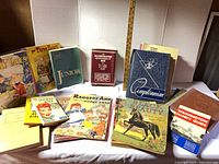 Group shot of all books displayed upright and flat