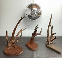 Three driftwood sculptures together showing relative sizes