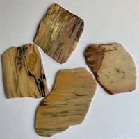 Group of four multicolour stone coasters