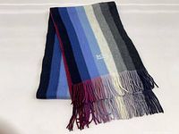 Full view folded scarf showing stripes and fringe