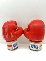 Front view of both red 16oz Prestige Pollack boxing gloves standing upright