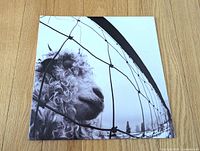 Front gatefold cover with sheep image
