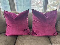 Both pillows side by side on sofa showing color and size
