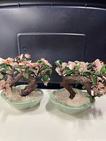 Both bonsai trees side by side in celadon pots