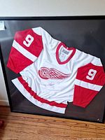 Full view of framed signed jersey showing Red Wings logo, signature and sleeve numbers