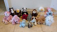 Group shot showing all 16 Webkinz plush toys