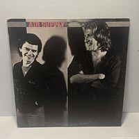Front cover of Air Supply Love and Other Bruises LP showing artwork and wear