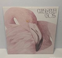 Front sleeve of Christopher Cross "Another Page" LP showing flamingo artwork