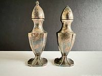 Front view of both silver plated shakers