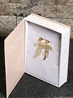 Open box with earrings on card