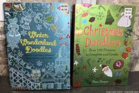 Front covers of both activity books