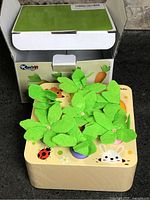 wooden base filled with green felt-topped carrots, box in background