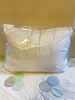 Front view of sealed pillow in plastic bag