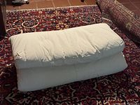 Futon mattress folded on rug showing overall appearance