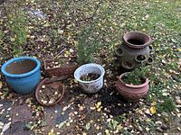 Assorted planters on ground with leaves
