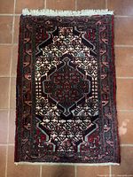 Full view of the Afghan/Turkmen hand-knotted wool area rug