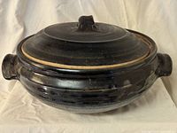 Side view of donabe with lid on showing handles and overall form