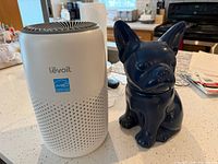 Levoit air purifier next to ceramic dog cookie jar