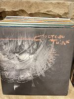 Front cover of Cocteau Twins Treasure LP