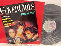 Front sleeve and vinyl record visible