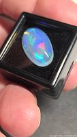 Oval cabochon opal in display box held between fingers