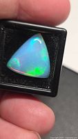 Trillion cabochon Ethiopian opal in display box showing green and blue play-of-color