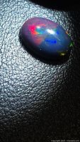 Front view of oval black opal showing multicolour play-of-colour
