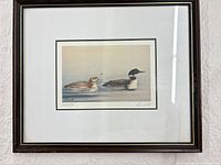 Full view of framed print showing loon artwork, mat and frame