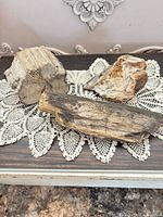 all three petrified wood pieces on lace mat