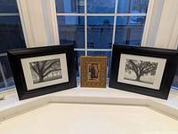 All three framed prints displayed on windowsill