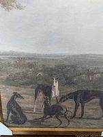 Close front lower section of dogs