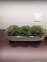 Left planter with faux boxwood spheres in wood trough