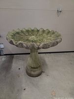 Full view of bird bath front, showing pedestal and scalloped basin