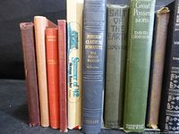 Group spine view of assorted vintage cloth hardcovers including Good Wives, Summer of ’42, Foreign Classical Romances, Salt of the Earth, Great Possessions