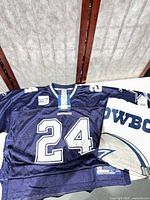 Front view of jersey and towel displaying number 24 and towel graphics