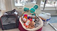 Overview of all items: carrier, bed with toys, grooming spa, litter jug